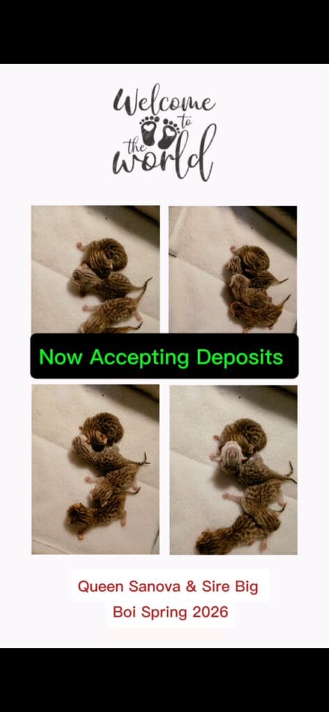 Screenshot_20260225_124515_Photos